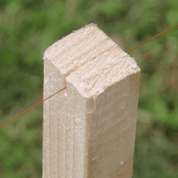 Close-up of post