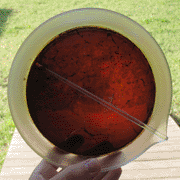 Hardened pine rosin in glass dish